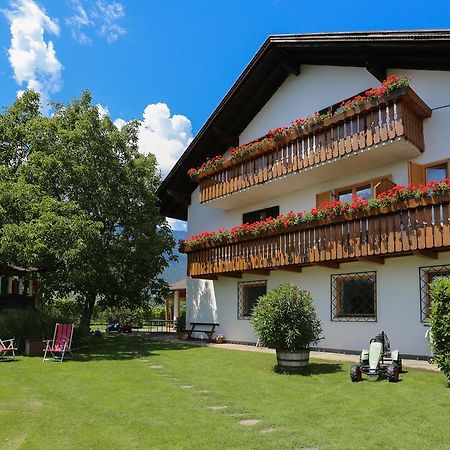 Appartements Weisshauserhof Аппиано-Сулла-Страда-дель-Вино Экстерьер фото